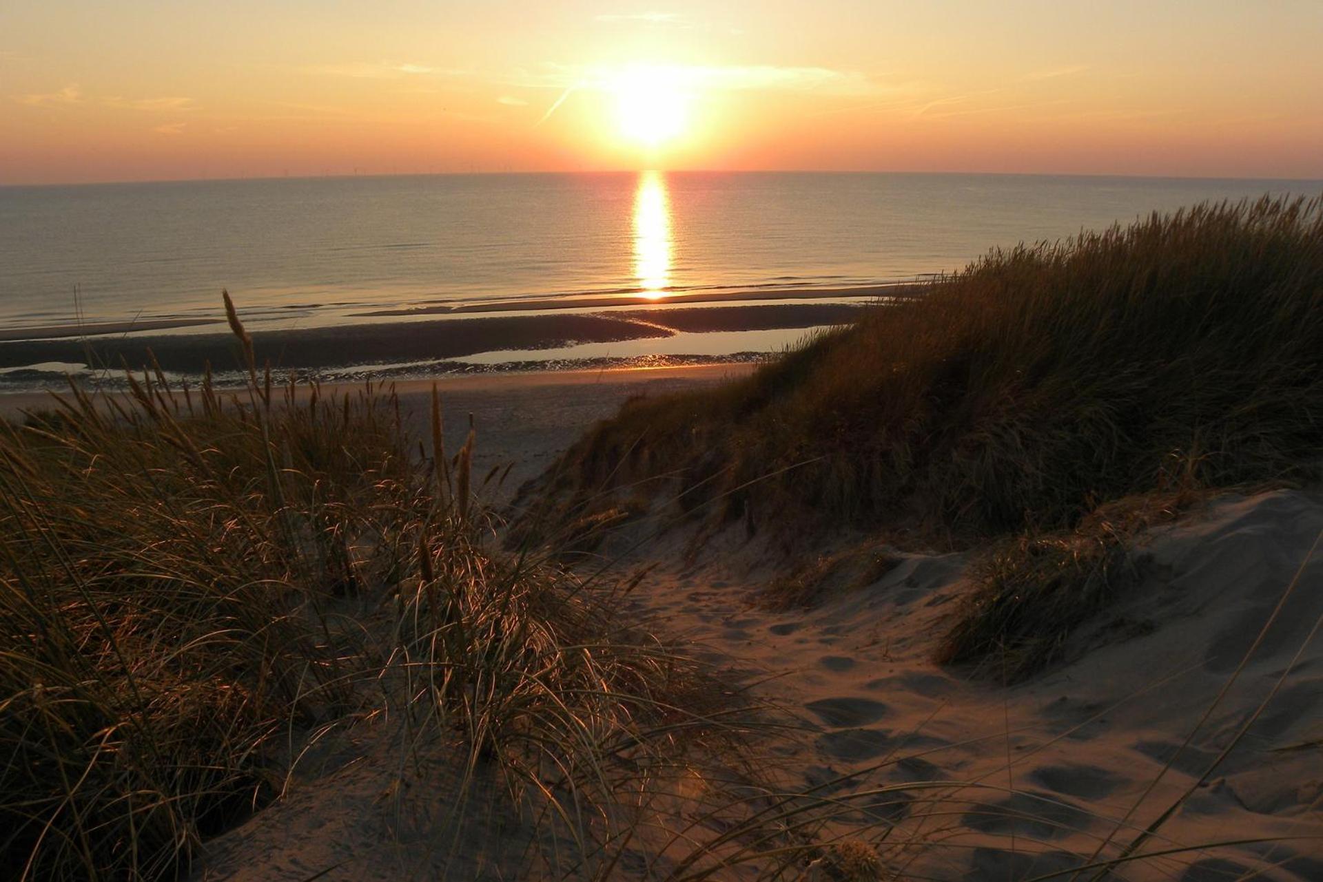 Ammophila 1 Leilighet Egmond aan Zee Eksteriør bilde